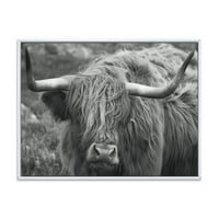 עיצוב 'מקרוב את הפרה הסקוטית על מורלנד אני' בית חווה ממוסגר דפוס אמנות קיר קיר