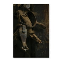 סימן מסחרי אמנות 'ספרס' אמנות קנבס מאת תום סיבו
